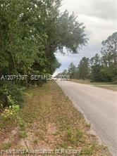 615 Wildflower Street Property Photo 12