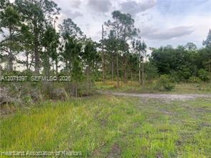 615 Wildflower Street Property Photo 14