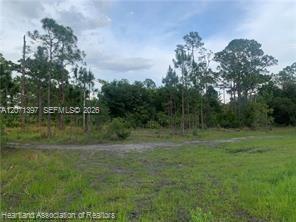 615 Wildflower Street Property Photo 15