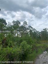 615 Wildflower Street Property Photo 16