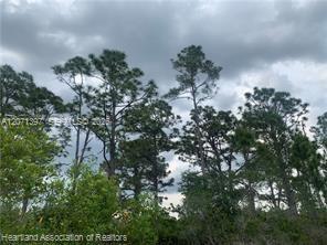 615 Wildflower Street Property Photo 17
