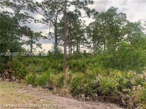 615 Wildflower Street Property Photo 18