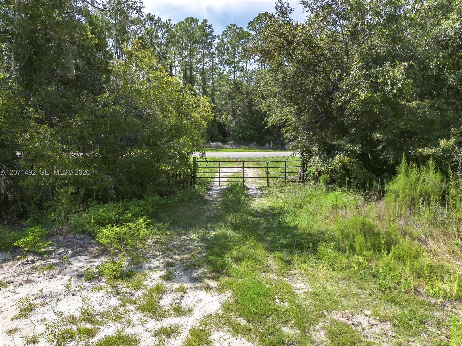 1369 Water Oak Property Photo 2