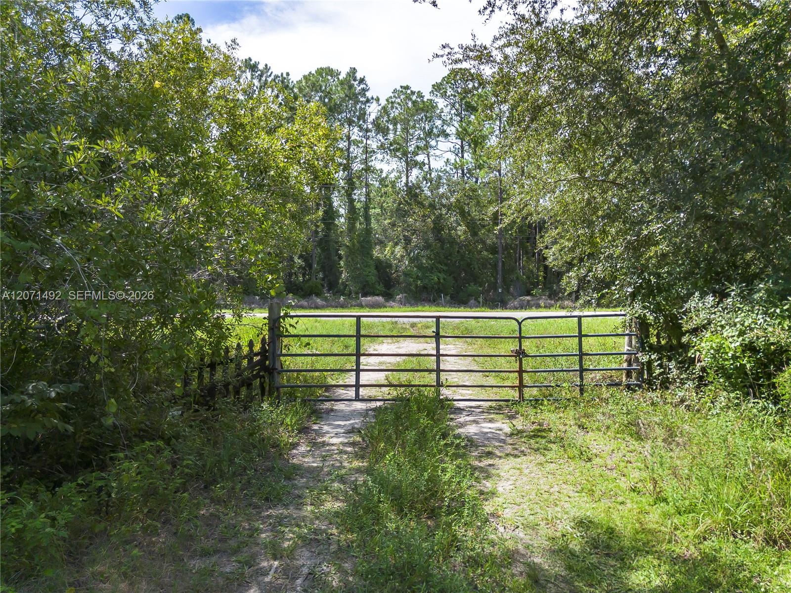 1369 Water Oak Property Photo 5