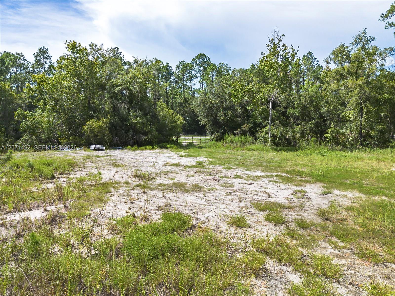 1369 Water Oak Property Photo 6