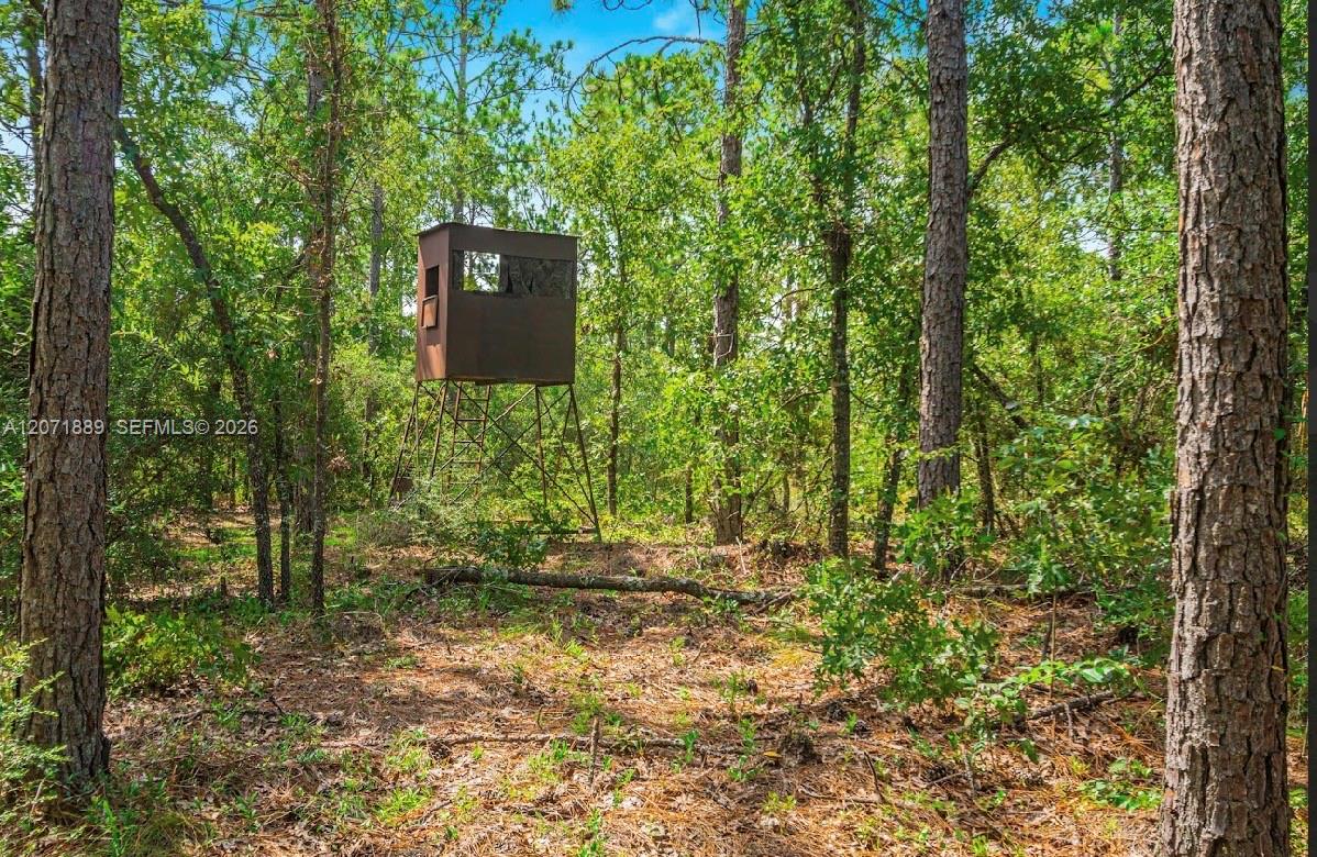 5263 Coy Burgess Loop Property Photo 26
