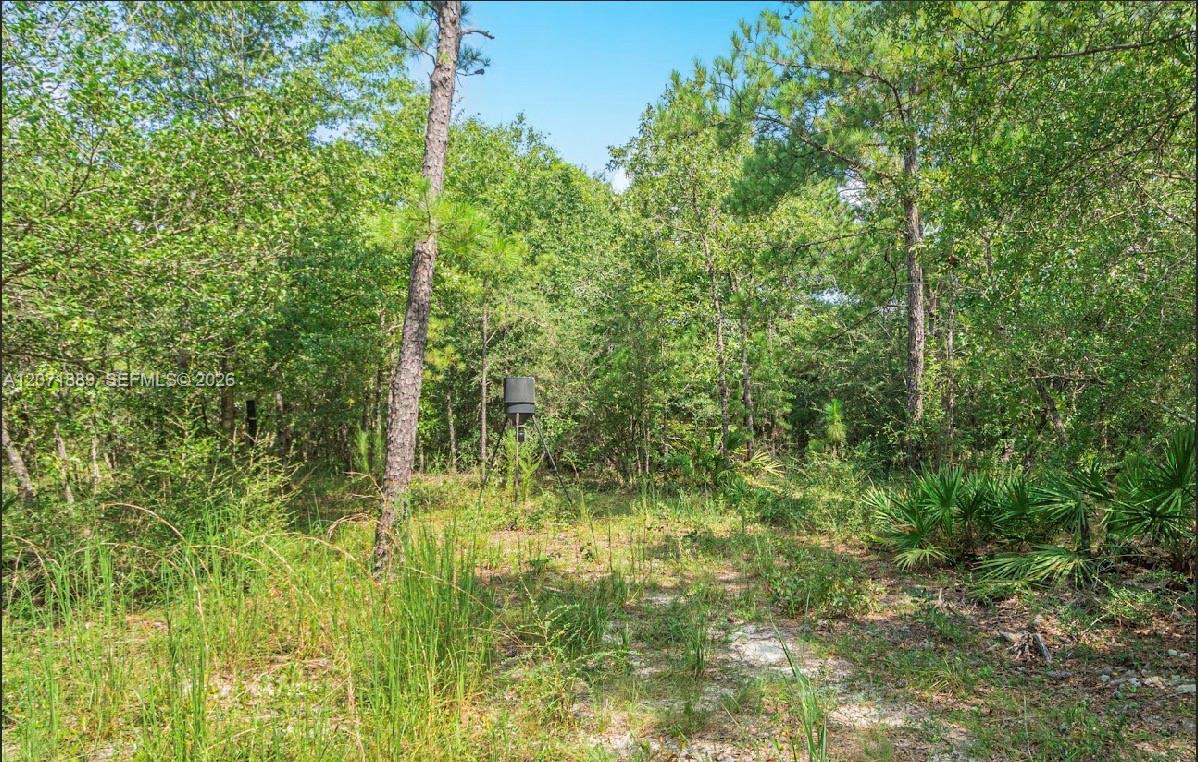 5263 Coy Burgess Loop Property Photo 27