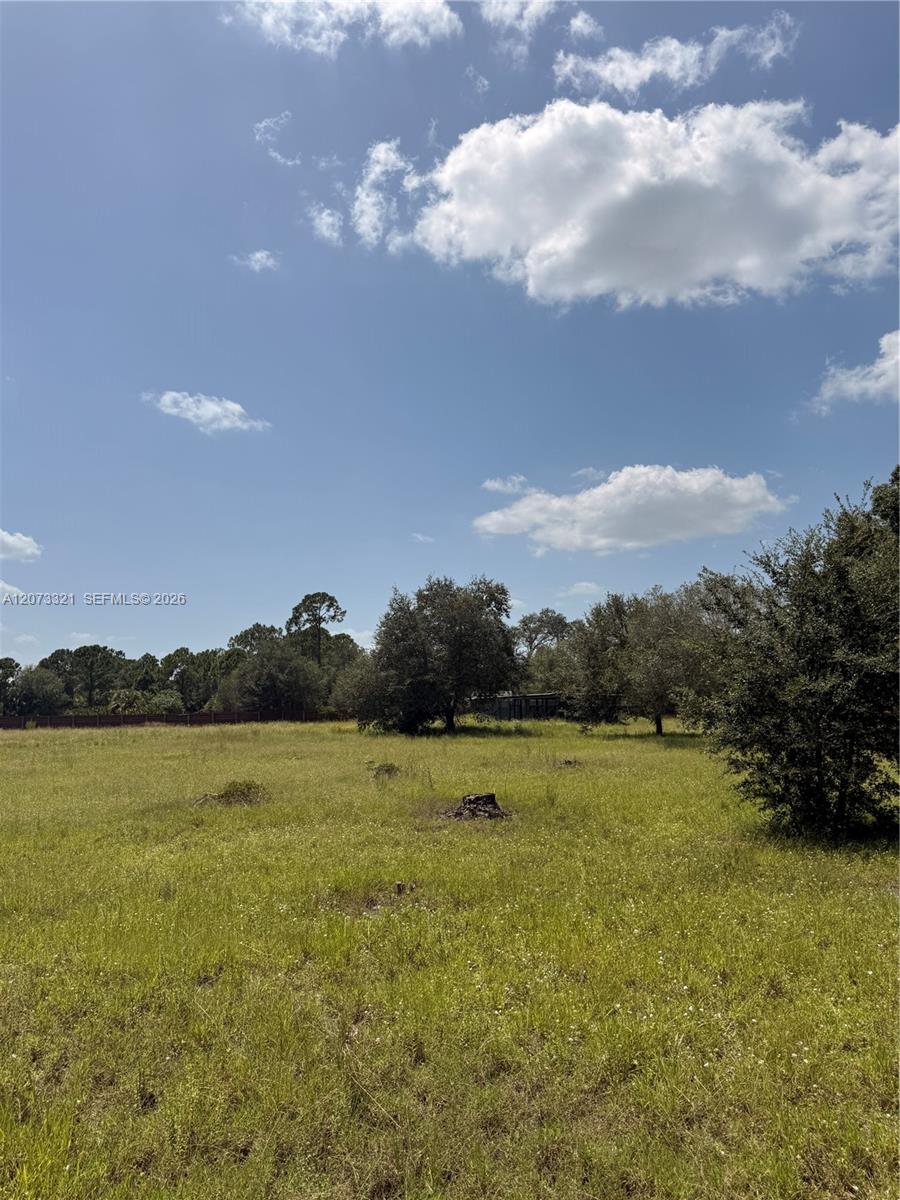 860 S Jasmine Street Property Photo 5