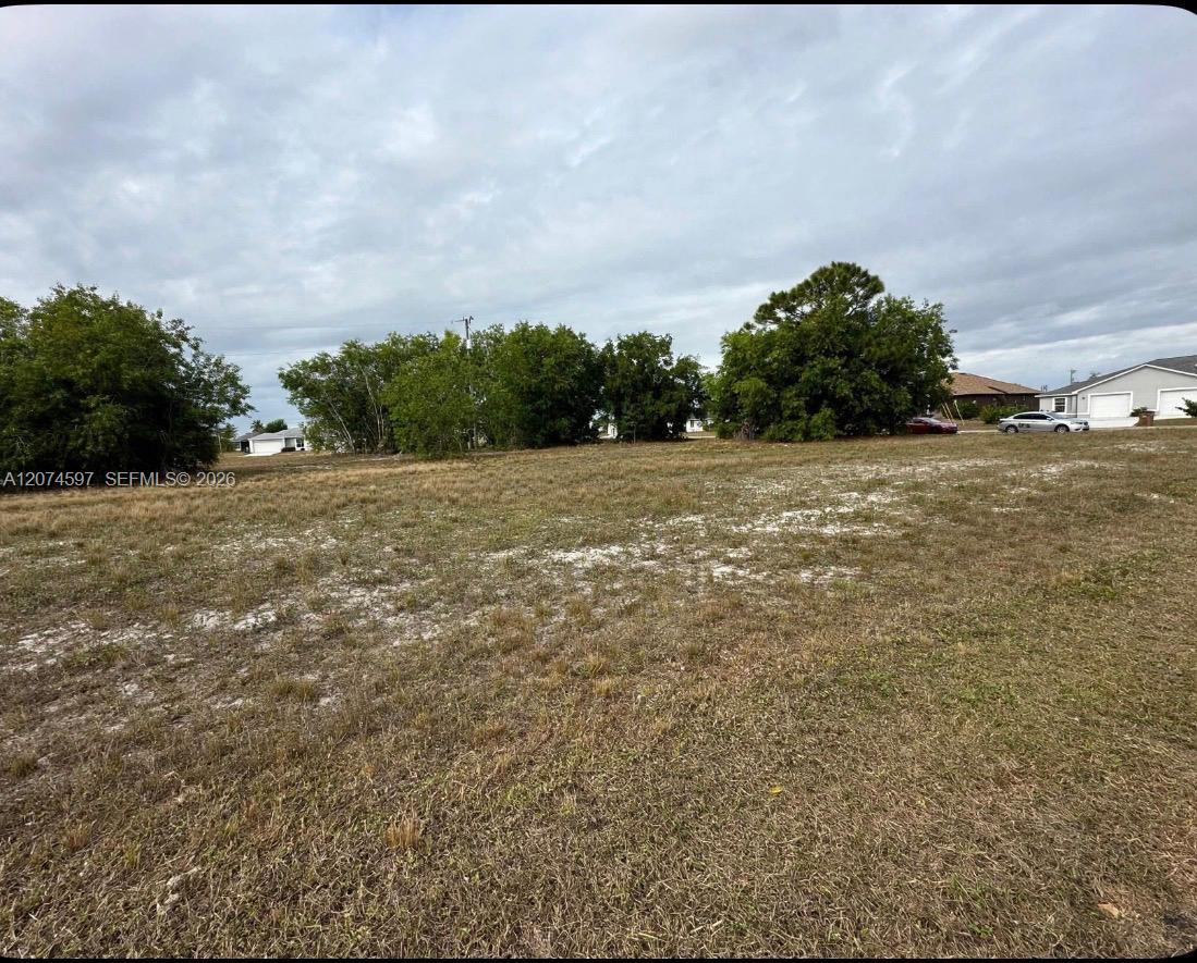 806 Skyline Property Photo 2