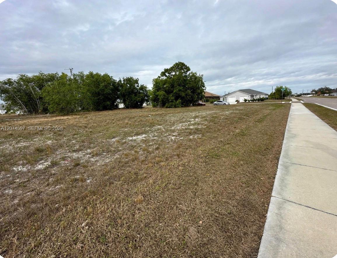 806 Skyline Property Photo 3