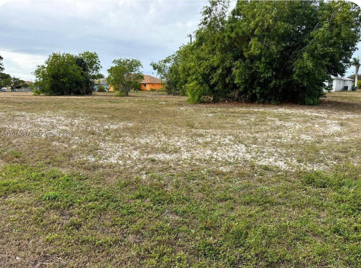 806 Skyline Property Photo 4