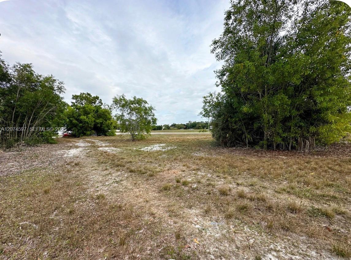 806 Skyline Property Photo 5