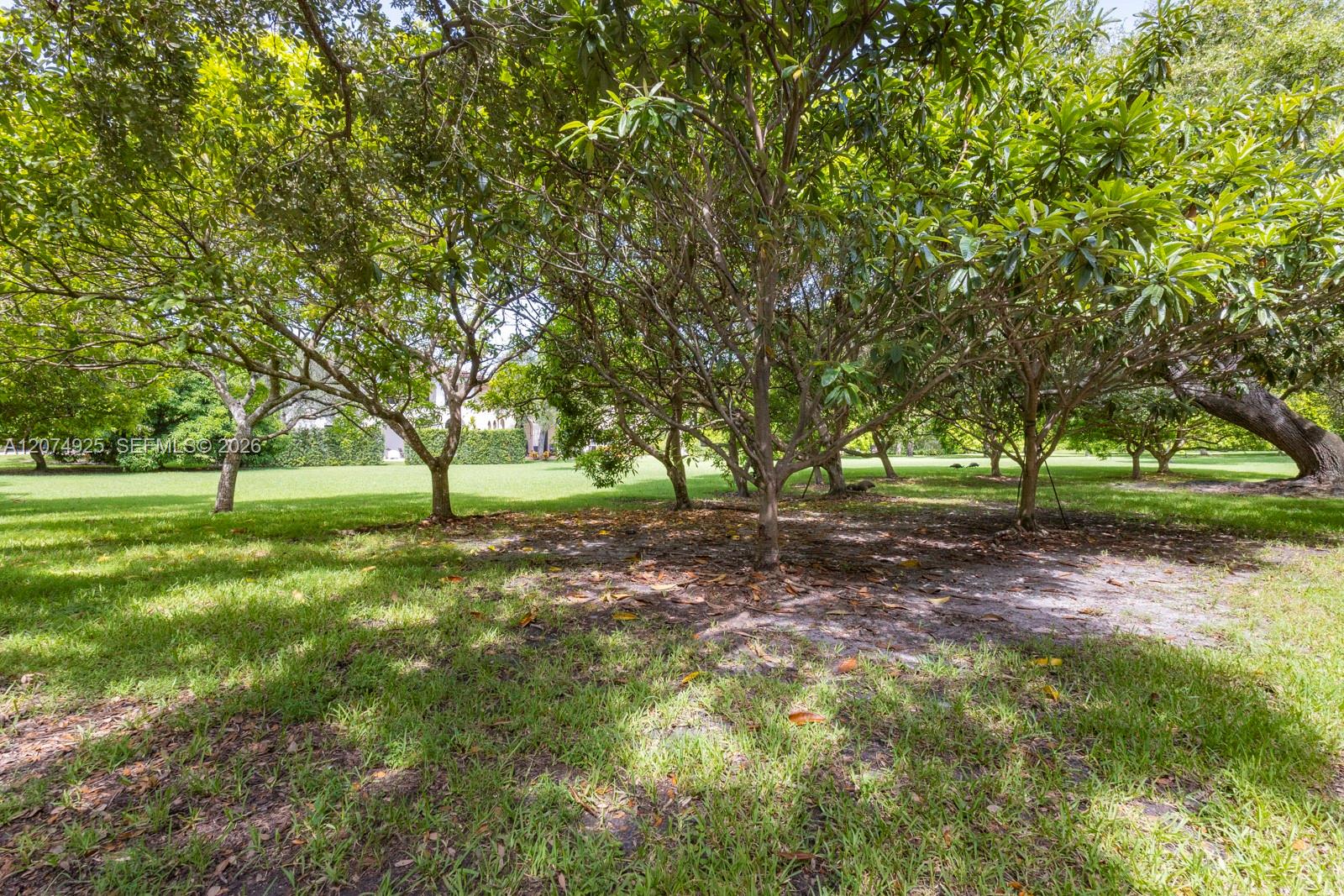 11404 Four Fillies Road Property Photo 20