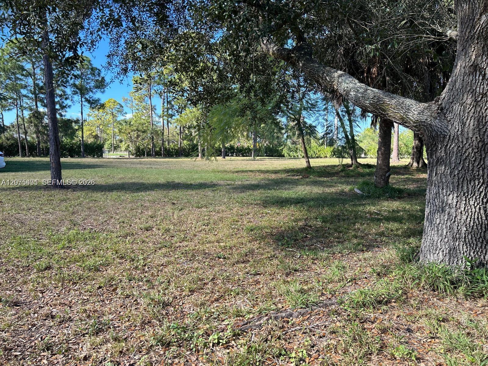 17924 50th Street Property Photo 12