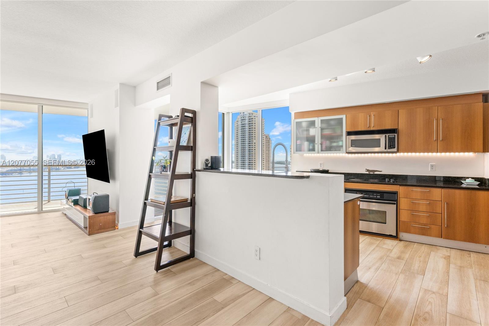 325 S Biscayne Boulevard 2723 Property Photo 3