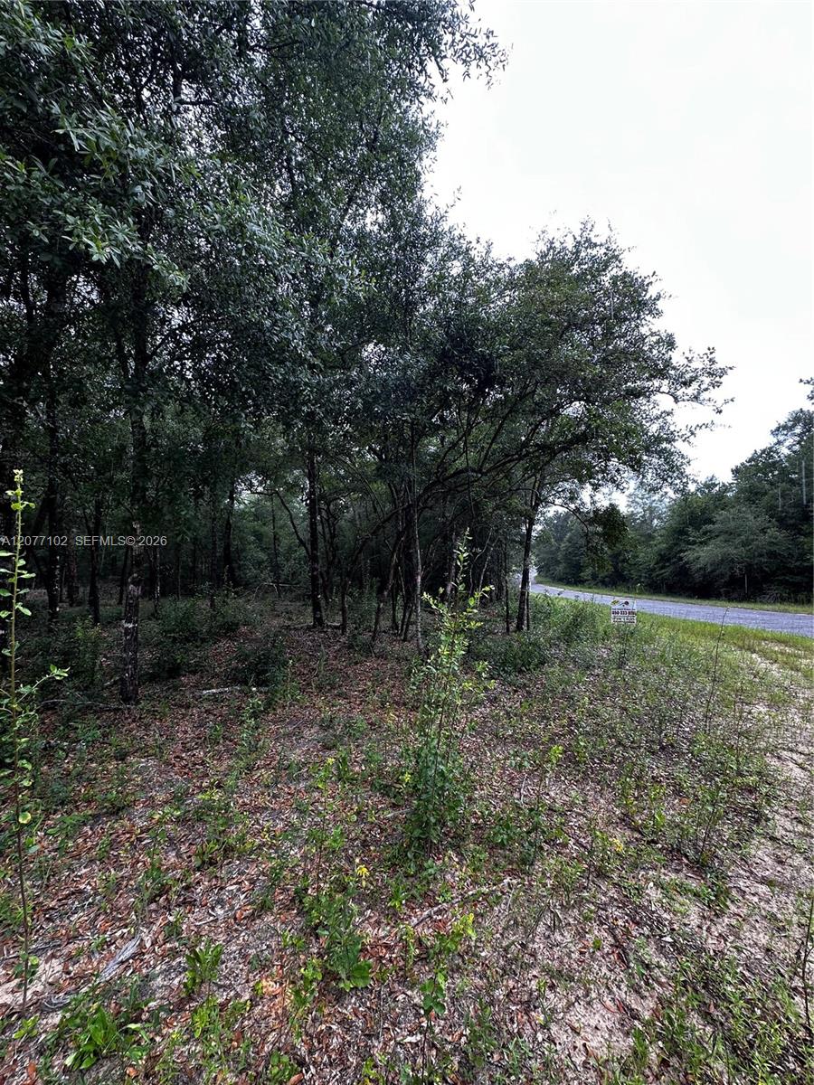 0000 Diane Place Property Photo 2