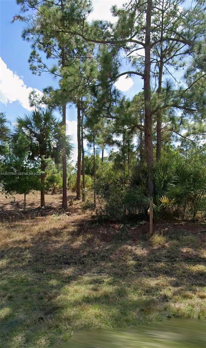 536 Hunting Club Avenue Property Photo 3