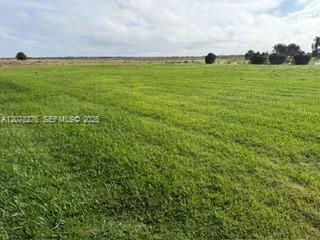 135 Sunset Pointe Boulevard Property Photo 13
