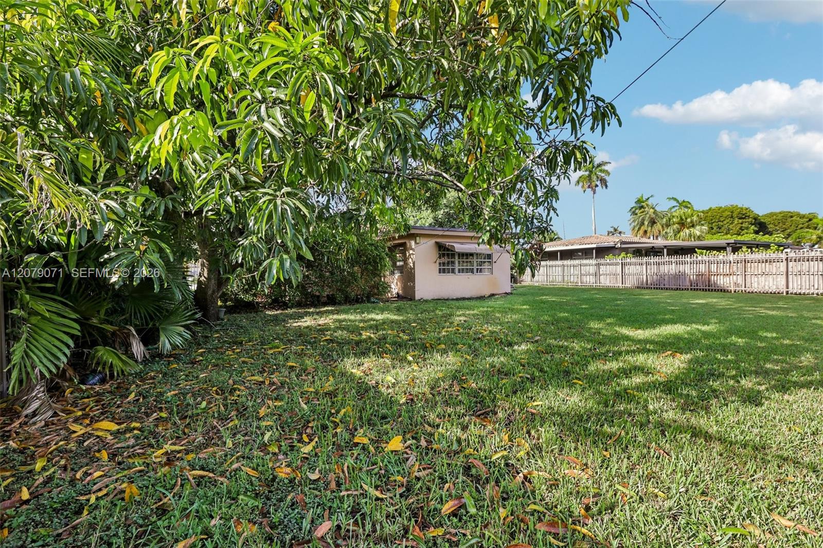 3121 Hollywood Boulevard Property Photo 238