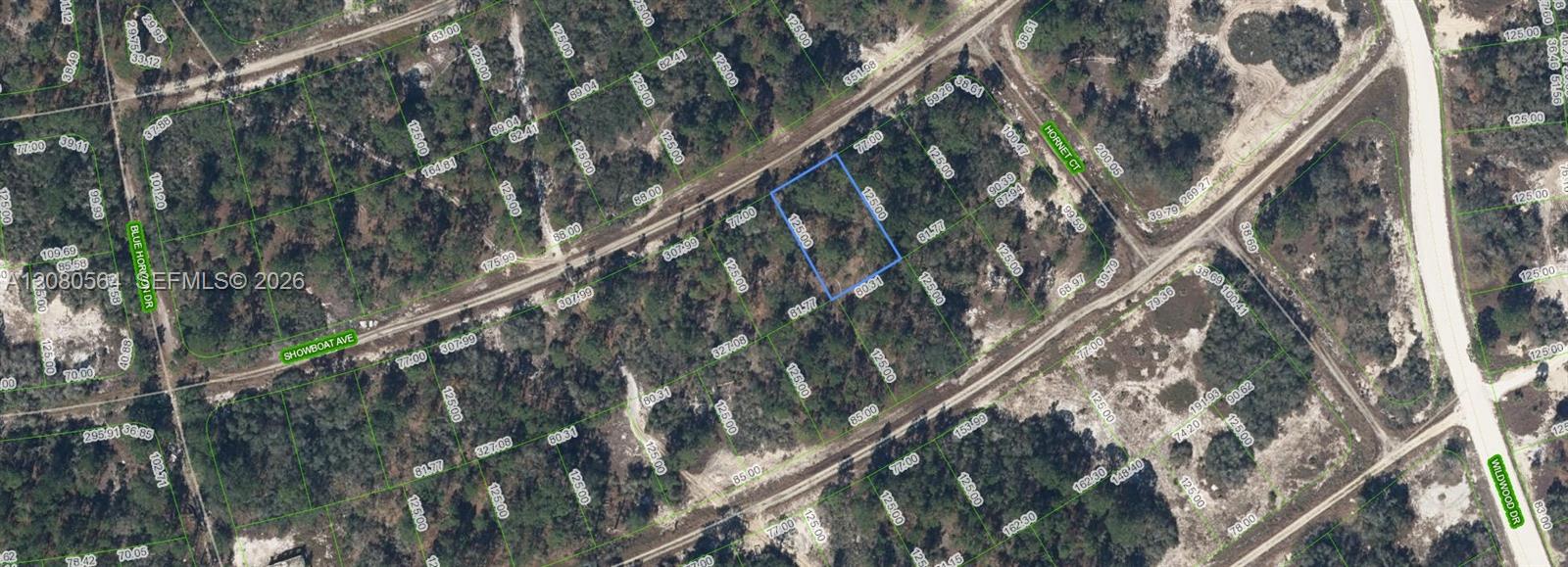 387 Showboat Avenue Property Photo 1