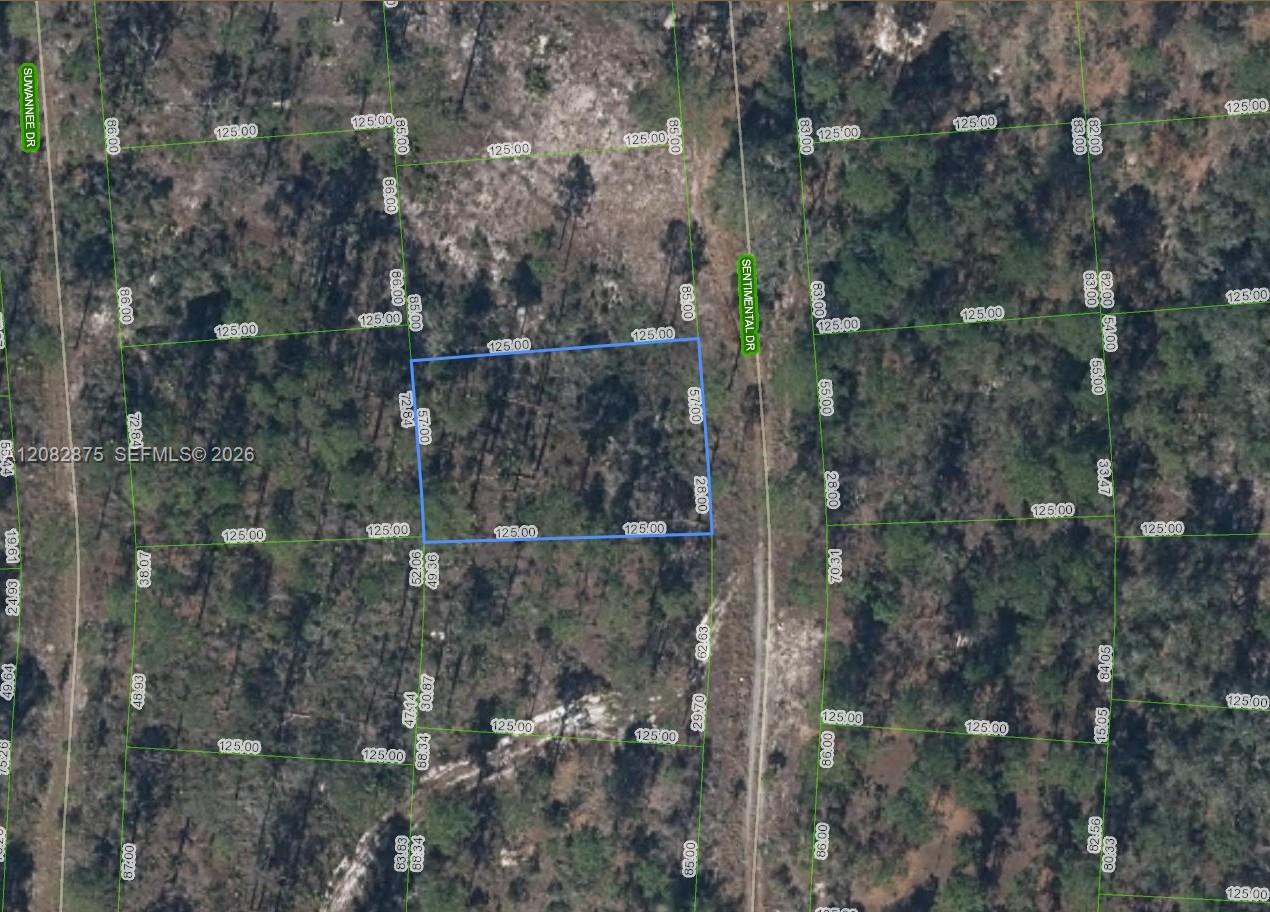 264 Sentimental Drive Property Photo 1