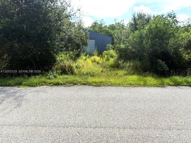 2524 Gem Stone Avenue Property Photo 1