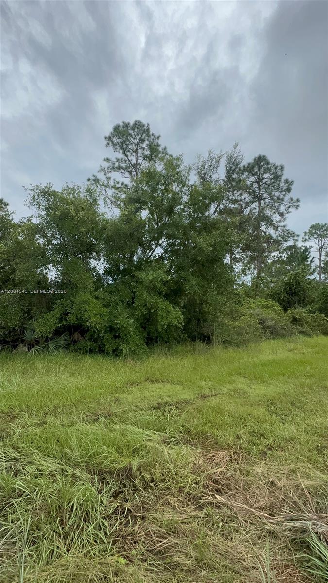 1345 Sable Palm Property Photo 2