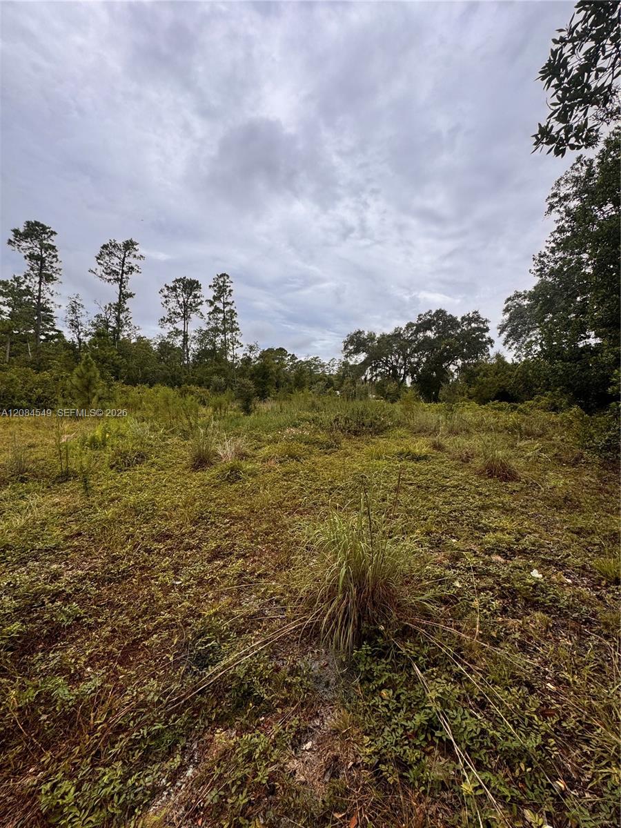 1345 Sable Palm Property Photo 3
