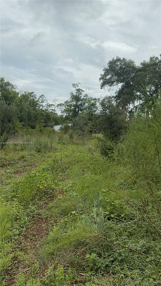 1219 Sable Palm Property Photo 2