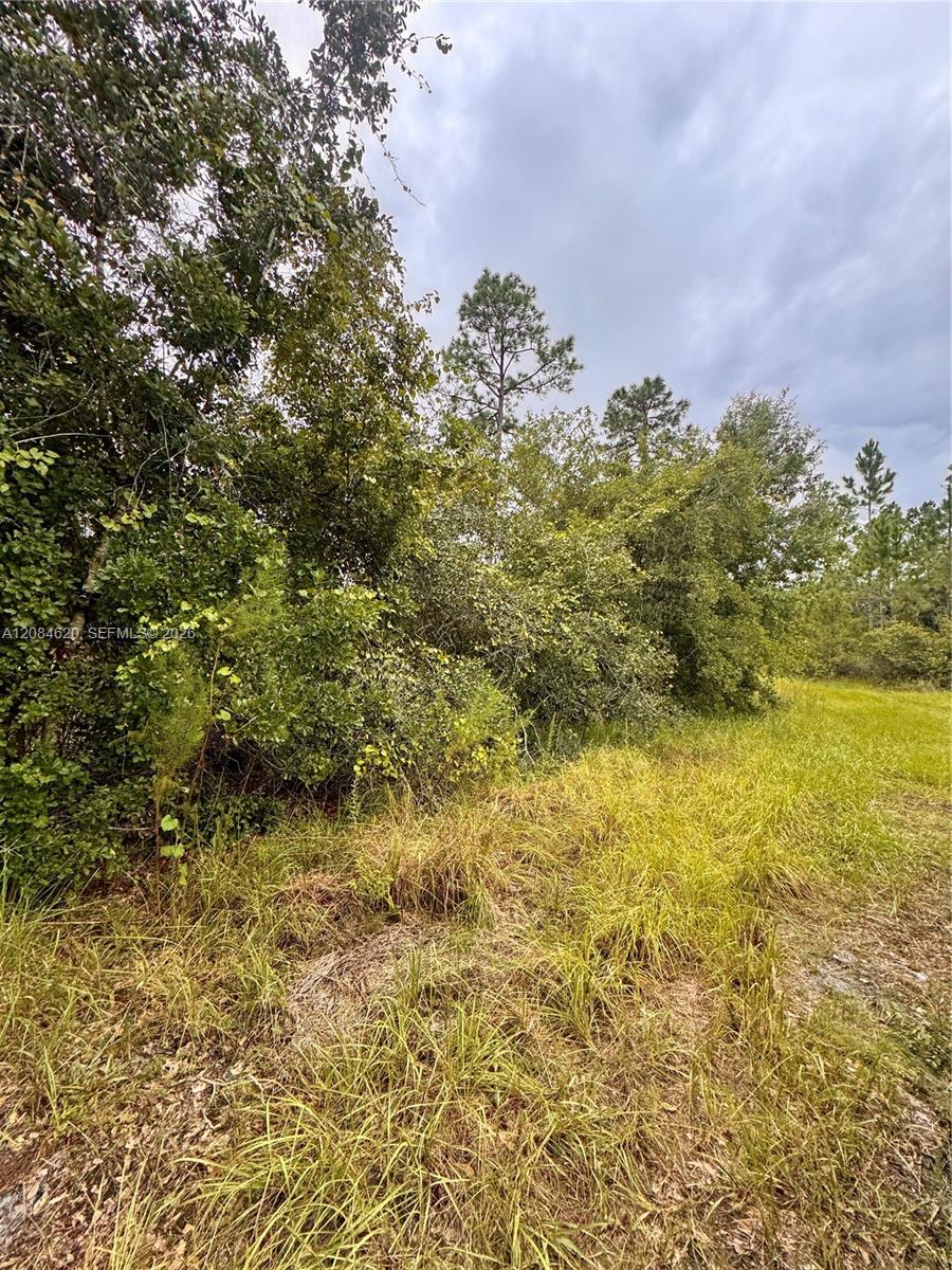 1219 Sable Palm Property Photo 3