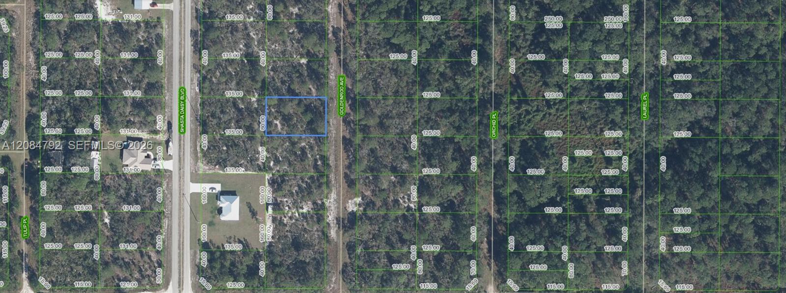 7019 Goldenrod Avenue Property Photo 1