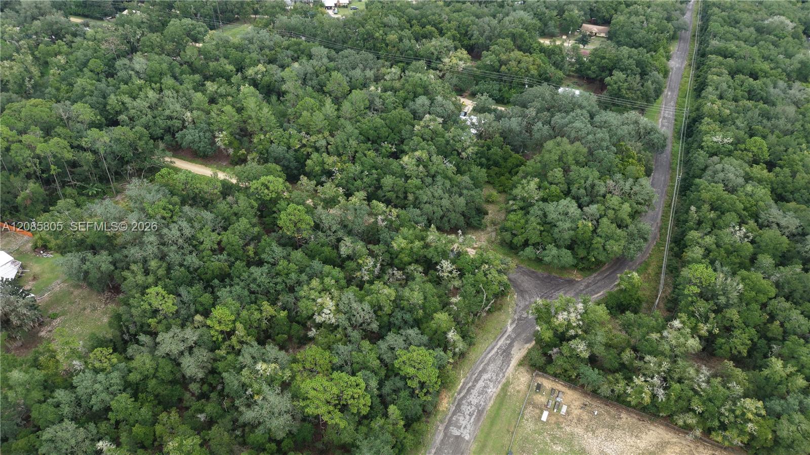 215 Lake Lucy Circle Property Photo 5