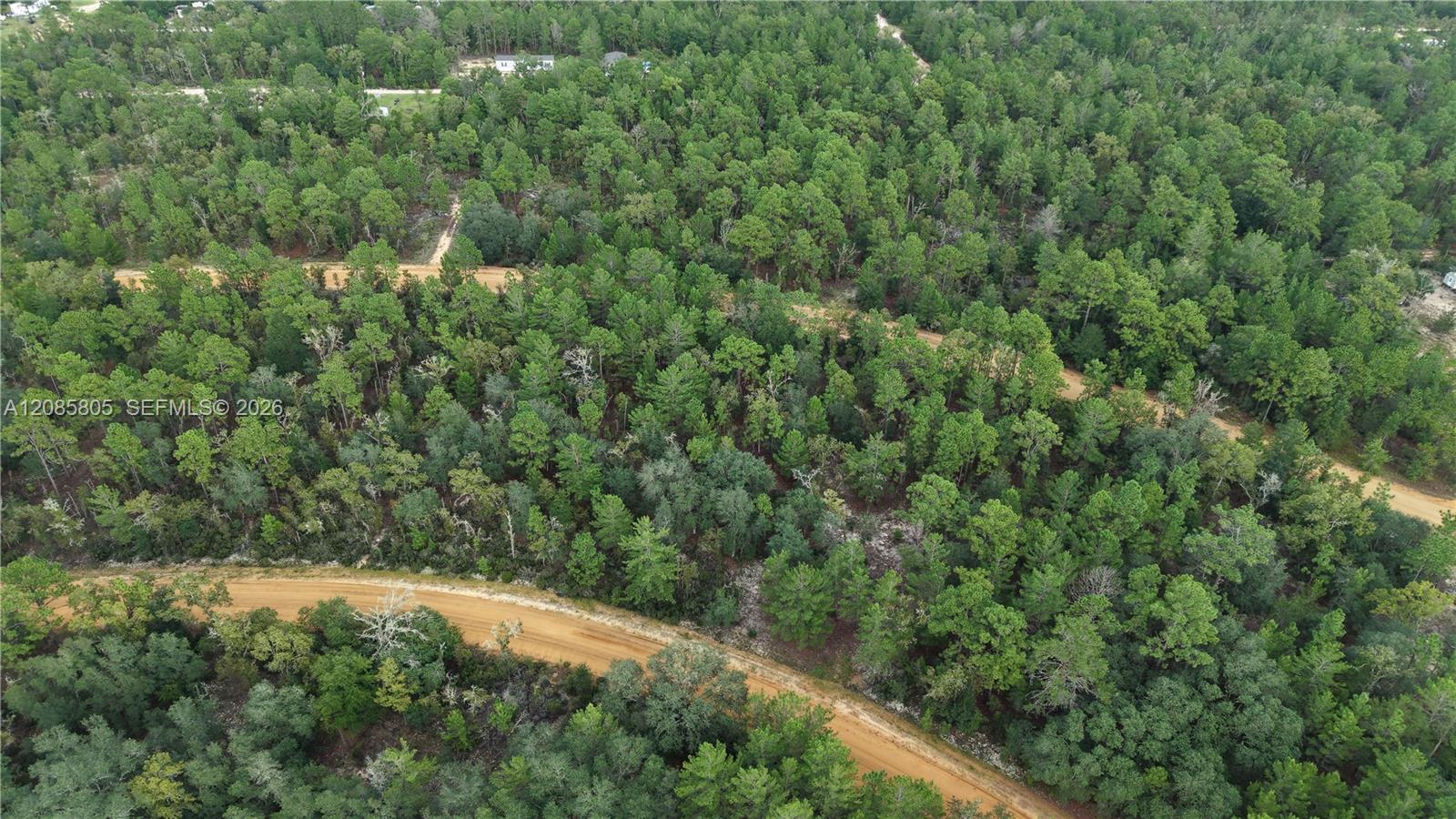 215 Lake Lucy Circle Property Photo 26