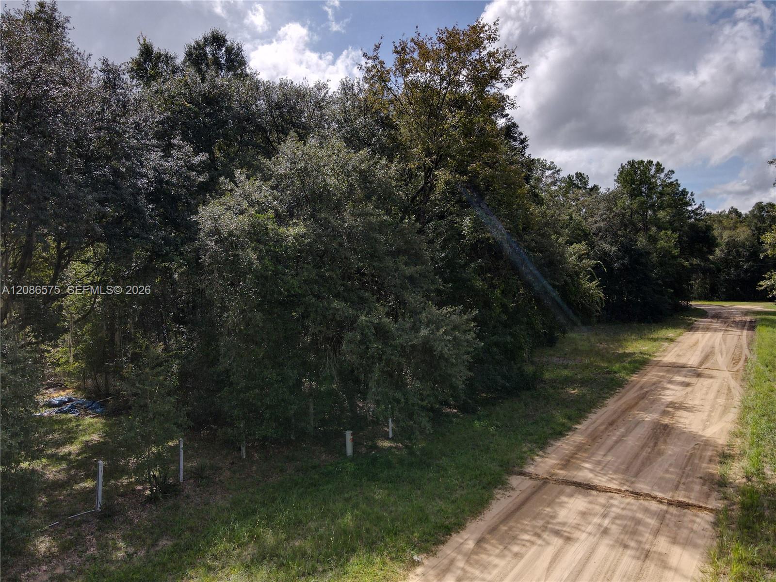 104 Gunner Avenue Property Photo 23