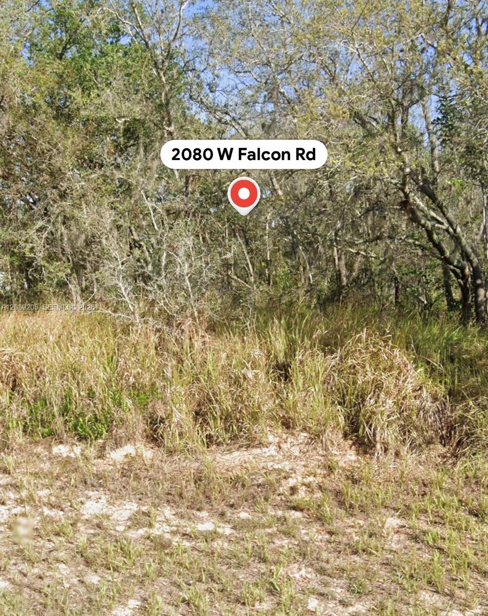 2080 W Falcon Road