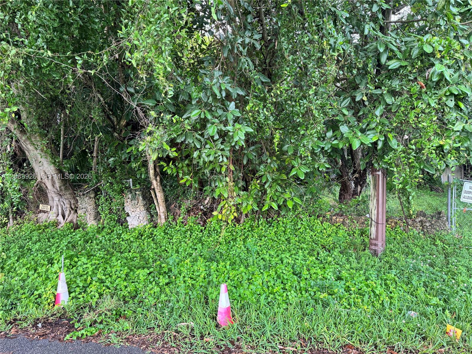 11305 Ne 2nd Place Property Photo 7