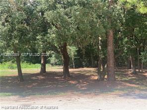 2326 W Barben Road Property Photo 2