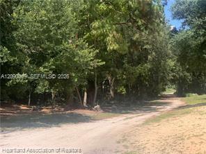 2326 W Barben Road Property Photo 3