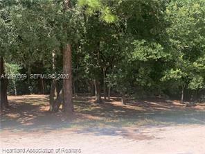 2326 W Barben Road Property Photo 4