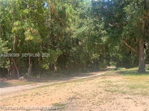 2326 W Barben Road Property Photo 6