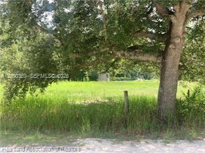 2326 W Barben Road Property Photo 19