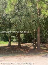 2326 W Barben Road Property Photo 24