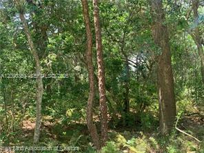 2326 W Barben Road Property Photo 25