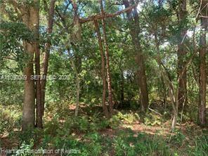 2326 W Barben Road Property Photo 26