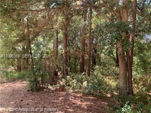 2326 W Barben Road Property Photo 27