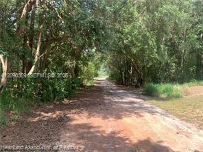 2326 W Barben Road Property Photo 28