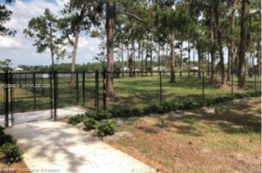 4509 Rosaro Avenue Property Photo 17