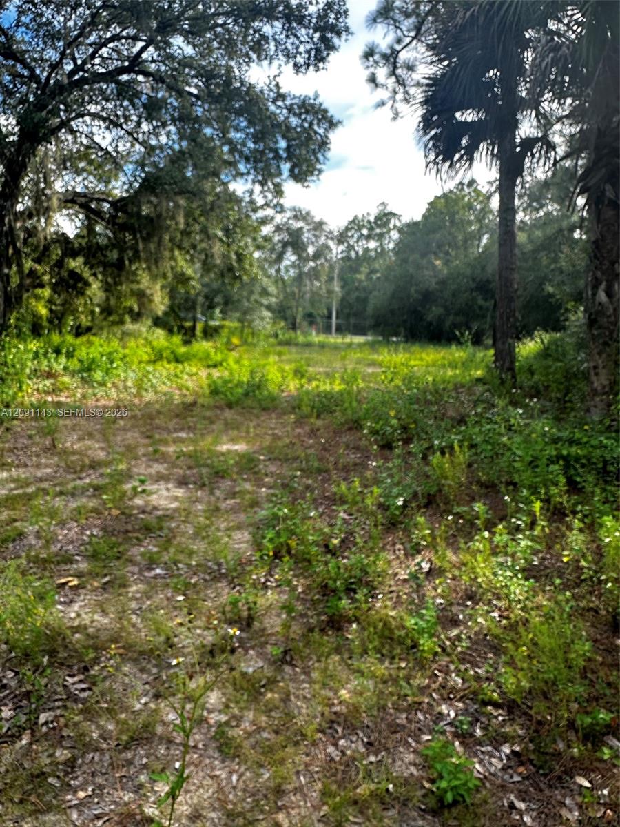 123 Pine Lake Avenue Property Photo 11