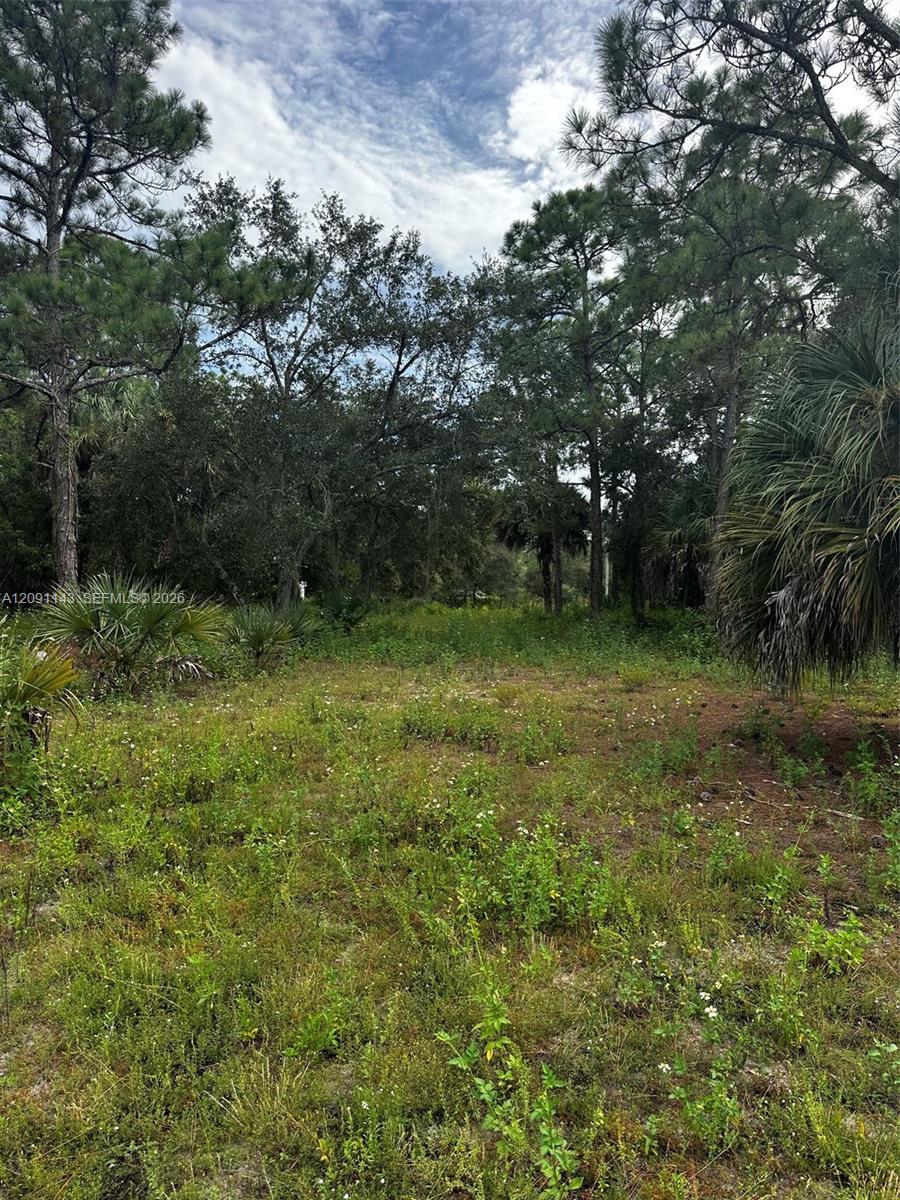 123 Pine Lake Avenue Property Photo 16