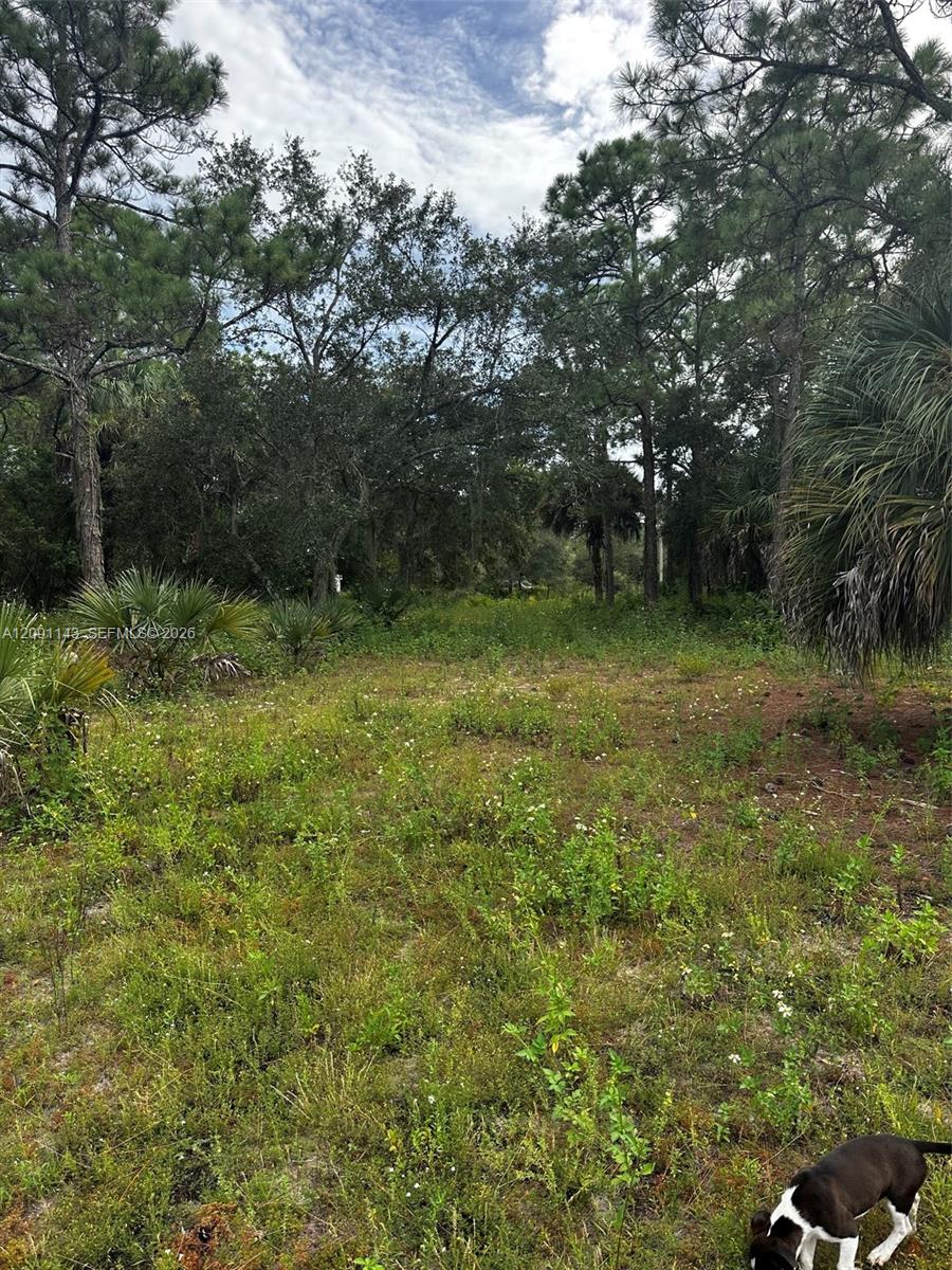 123 Pine Lake Avenue Property Photo 17
